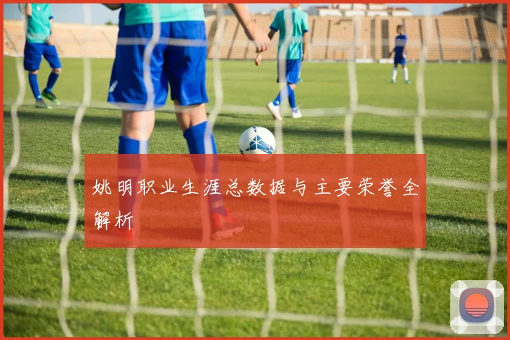 姚明职业生涯总数据与主要荣誉全解析
