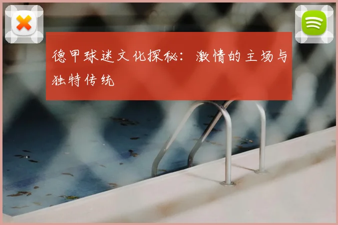德甲球迷文化探秘：激情的主场与独特传统