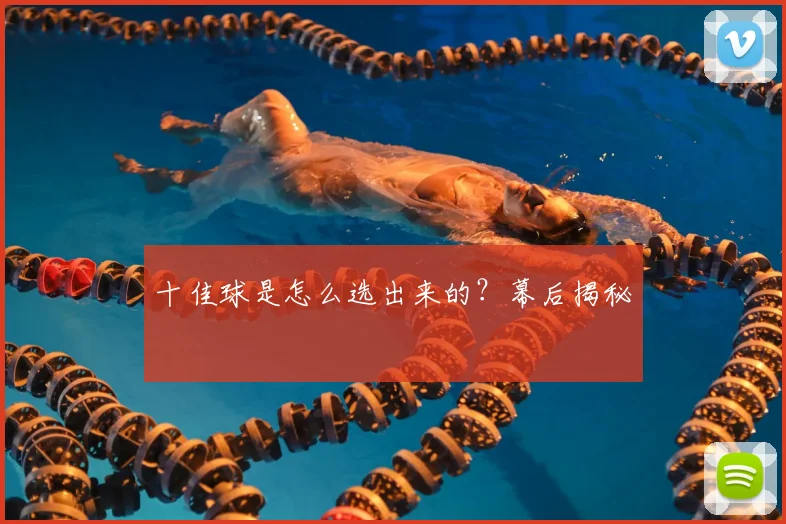 十佳球是怎么选出来的?幕后揭秘