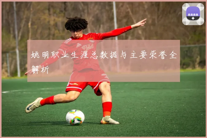 姚明职业生涯总数据与主要荣誉全解析