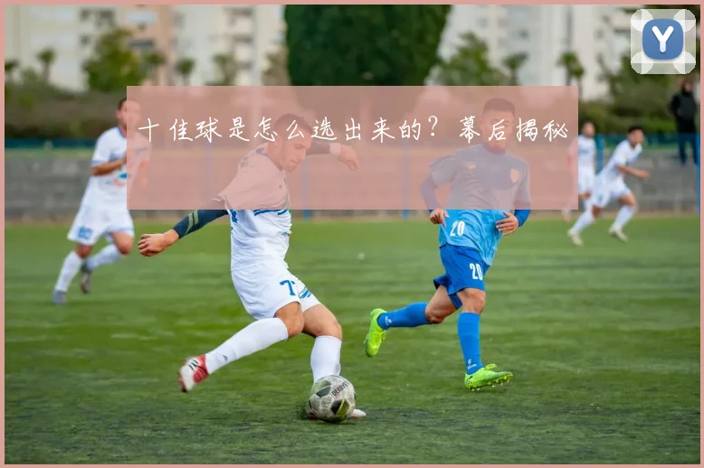 十佳球是怎么选出来的?幕后揭秘